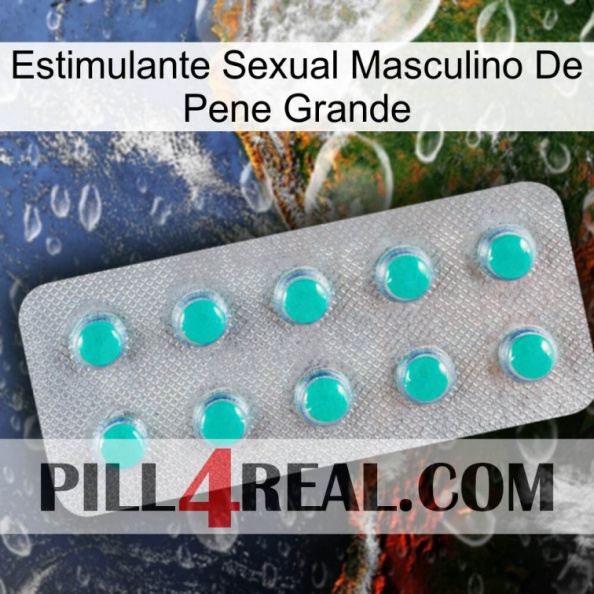 Big Penis Male Sexual Stimulant 28